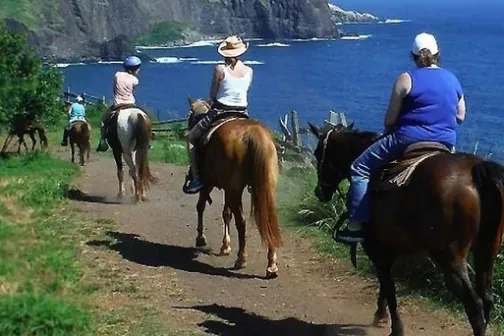 a person riding a horse