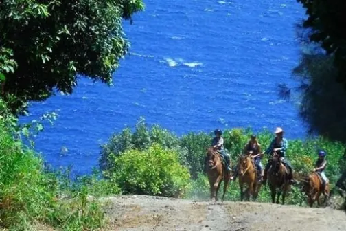 a person riding a horse