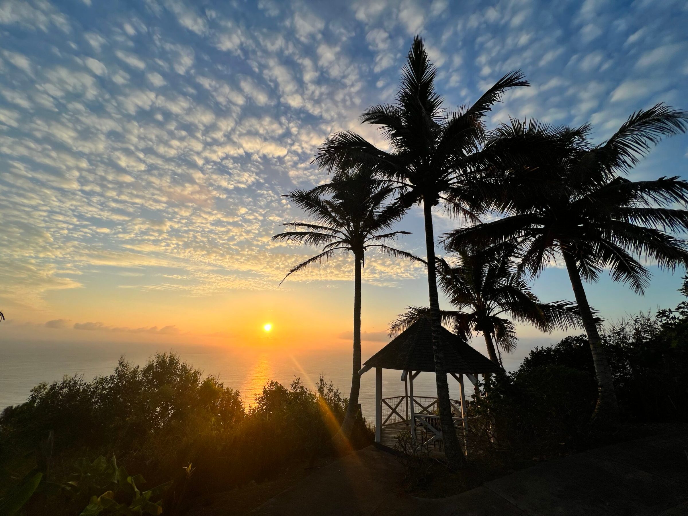 a group of palm trees with a sunset in the background