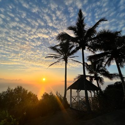 a group of palm trees with a sunset in the background