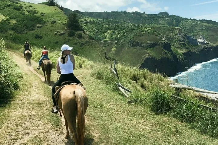 a group of people riding on the back of a horse