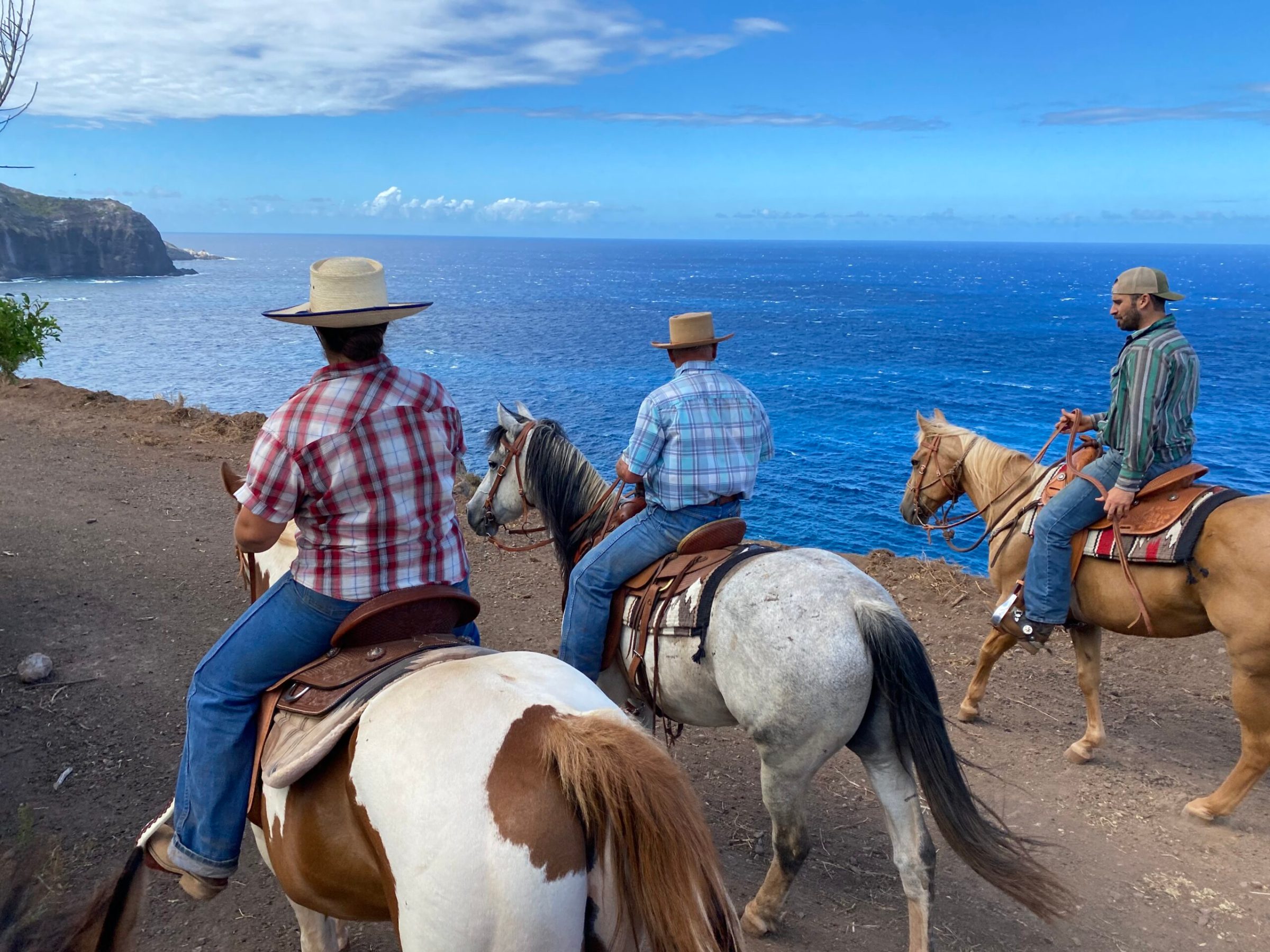 a group of people riding a horse in a body of water