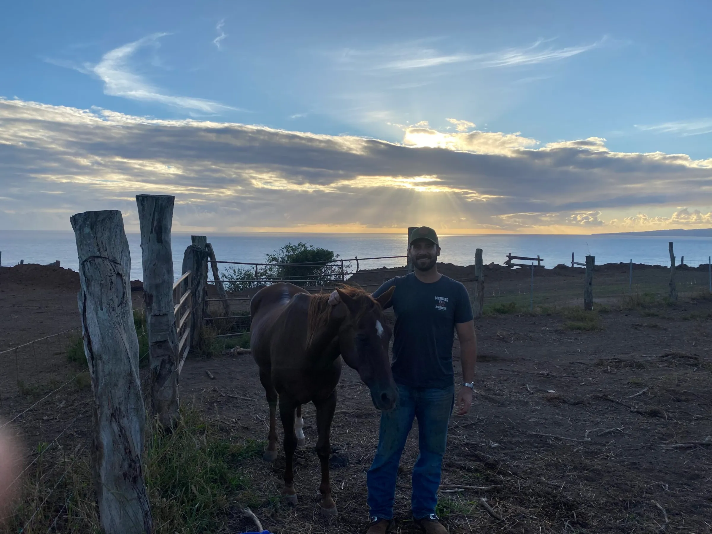 a man standing next to a horse in a field