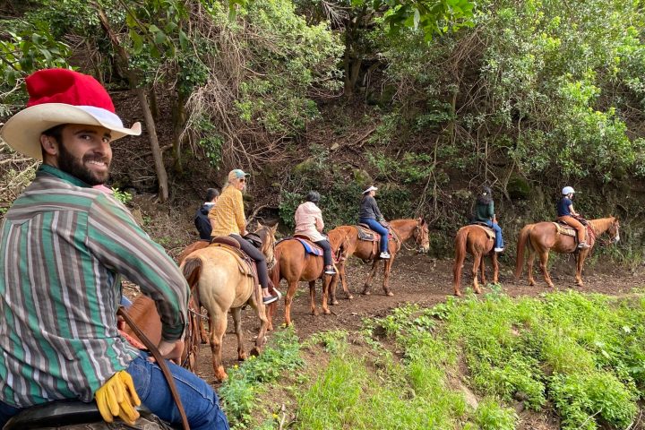 a group of people riding on the back of a horse