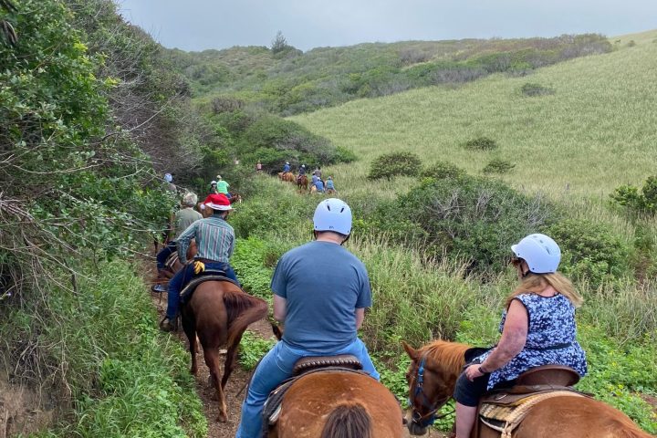 a group of people riding on the back of a brown horse