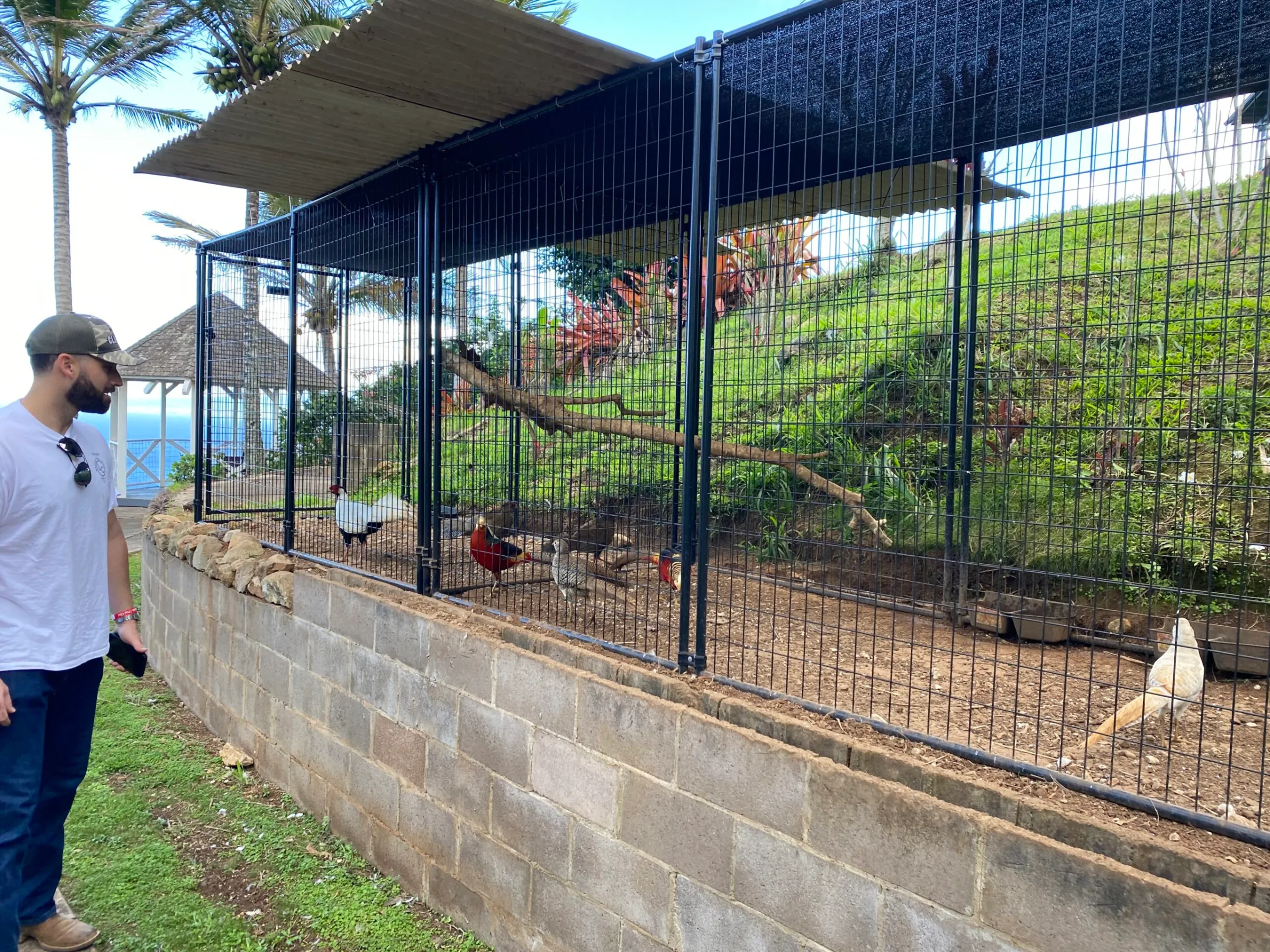 a man standing next to a fence