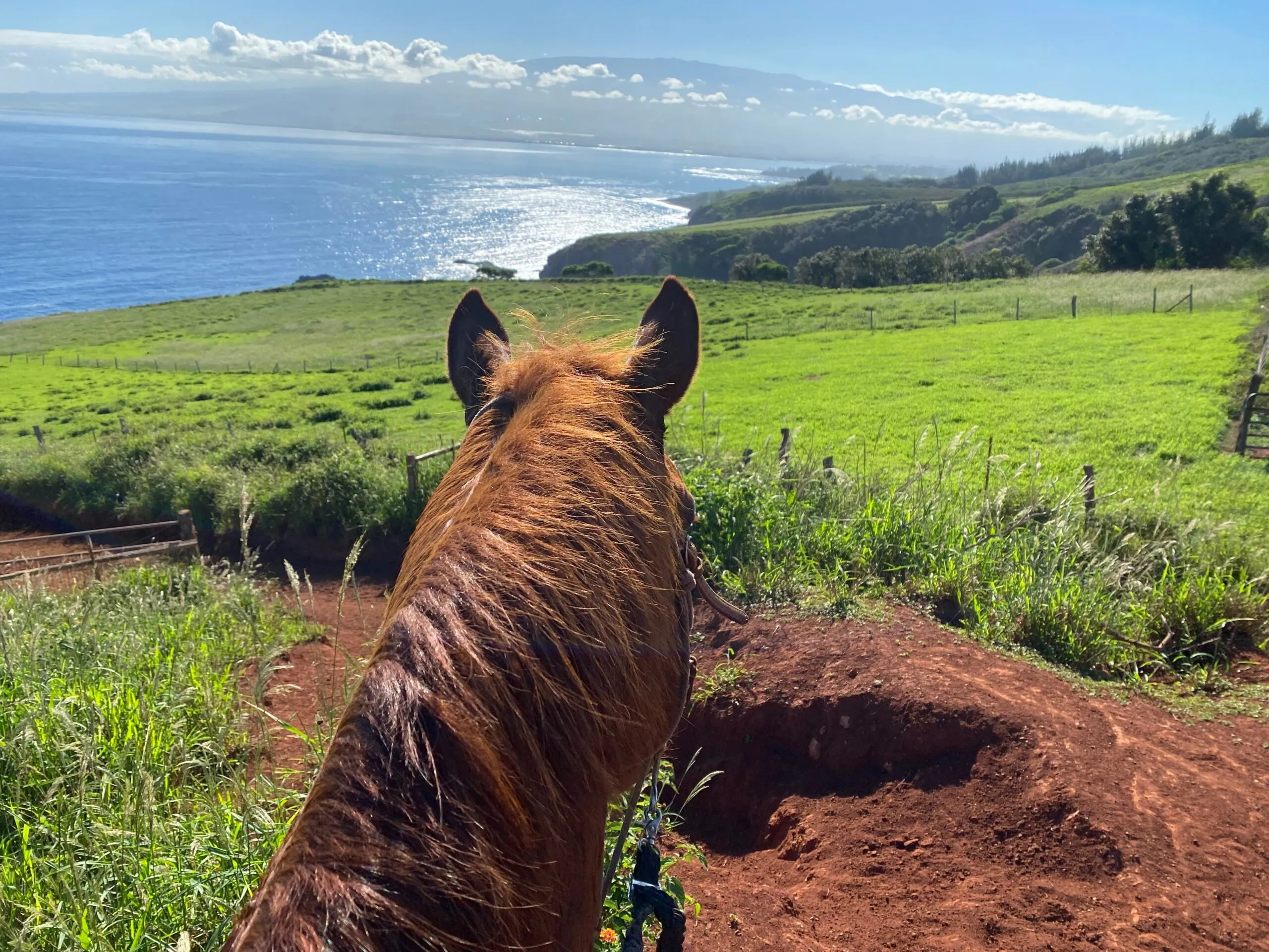 Afternoon Trail Experience photo