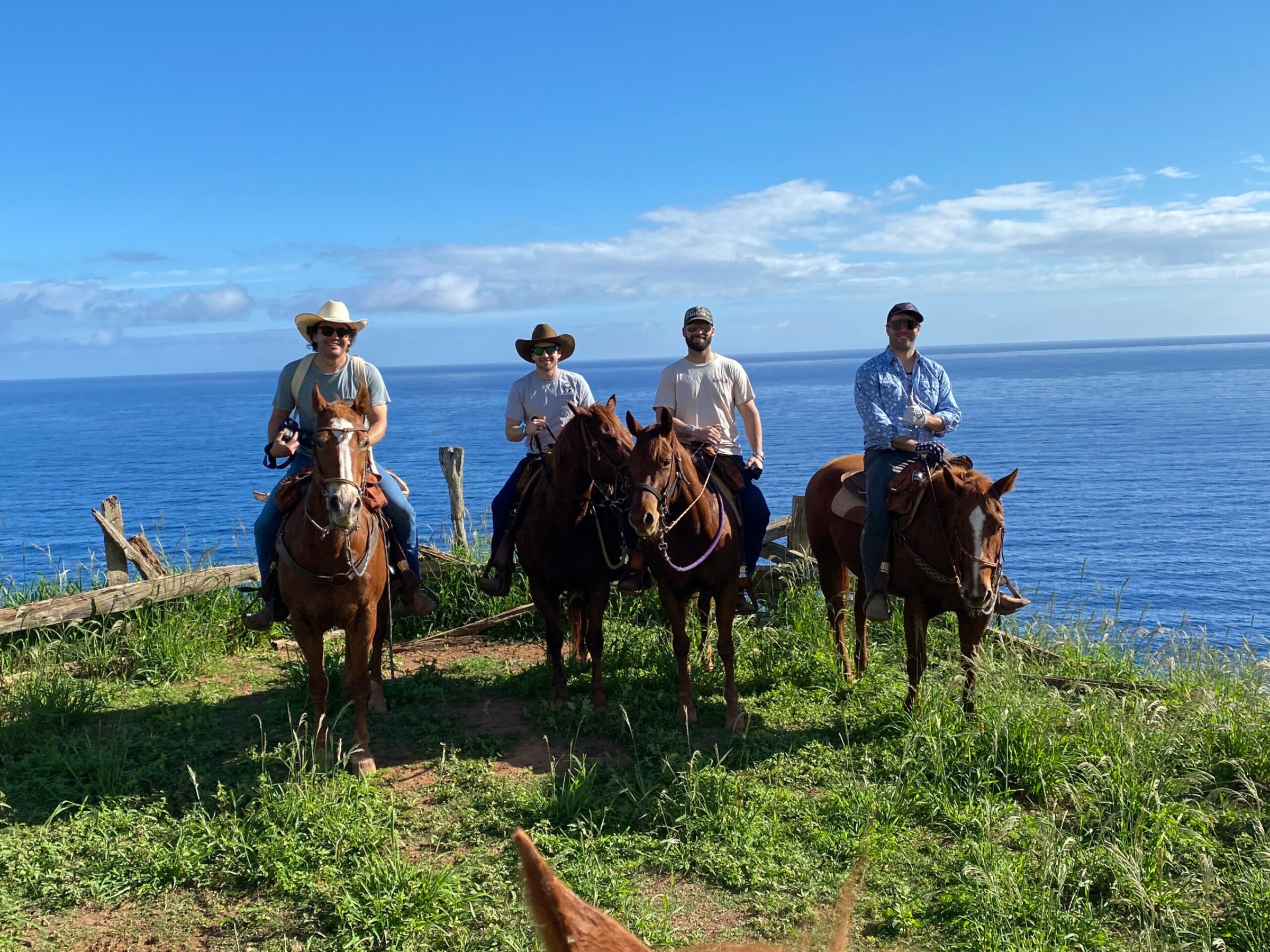 a group of people riding horses on a grassy hill