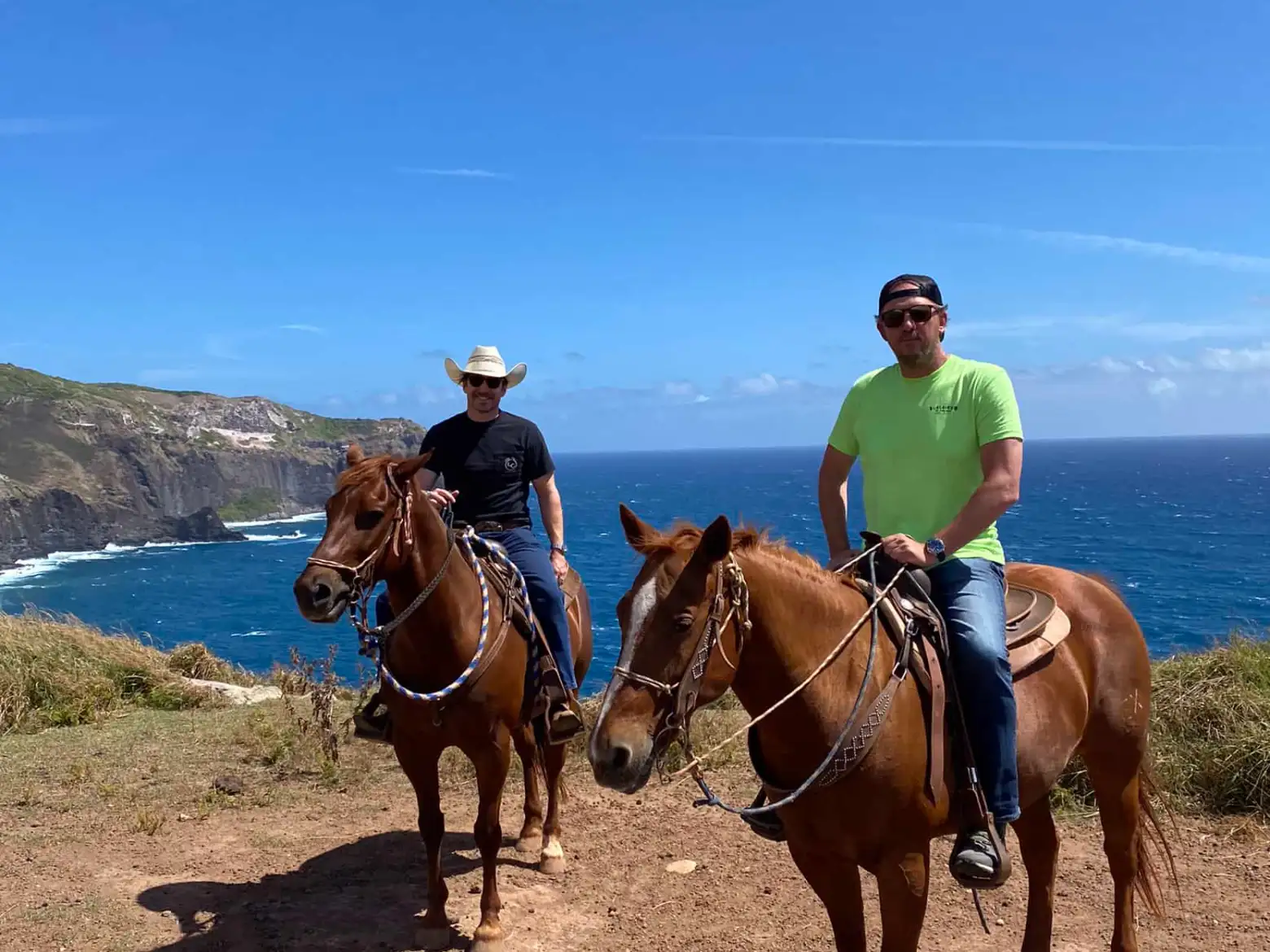a group of people riding a horse on a beach