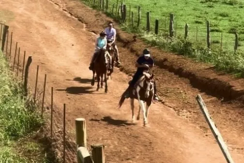 a person riding a horse on a dirt track