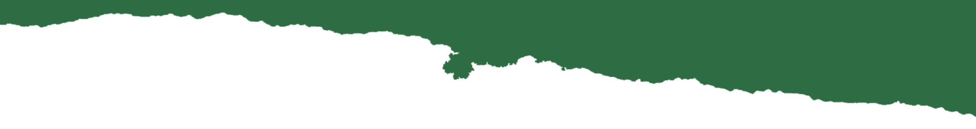 a close up of a tree